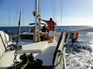 boat charter djn 14